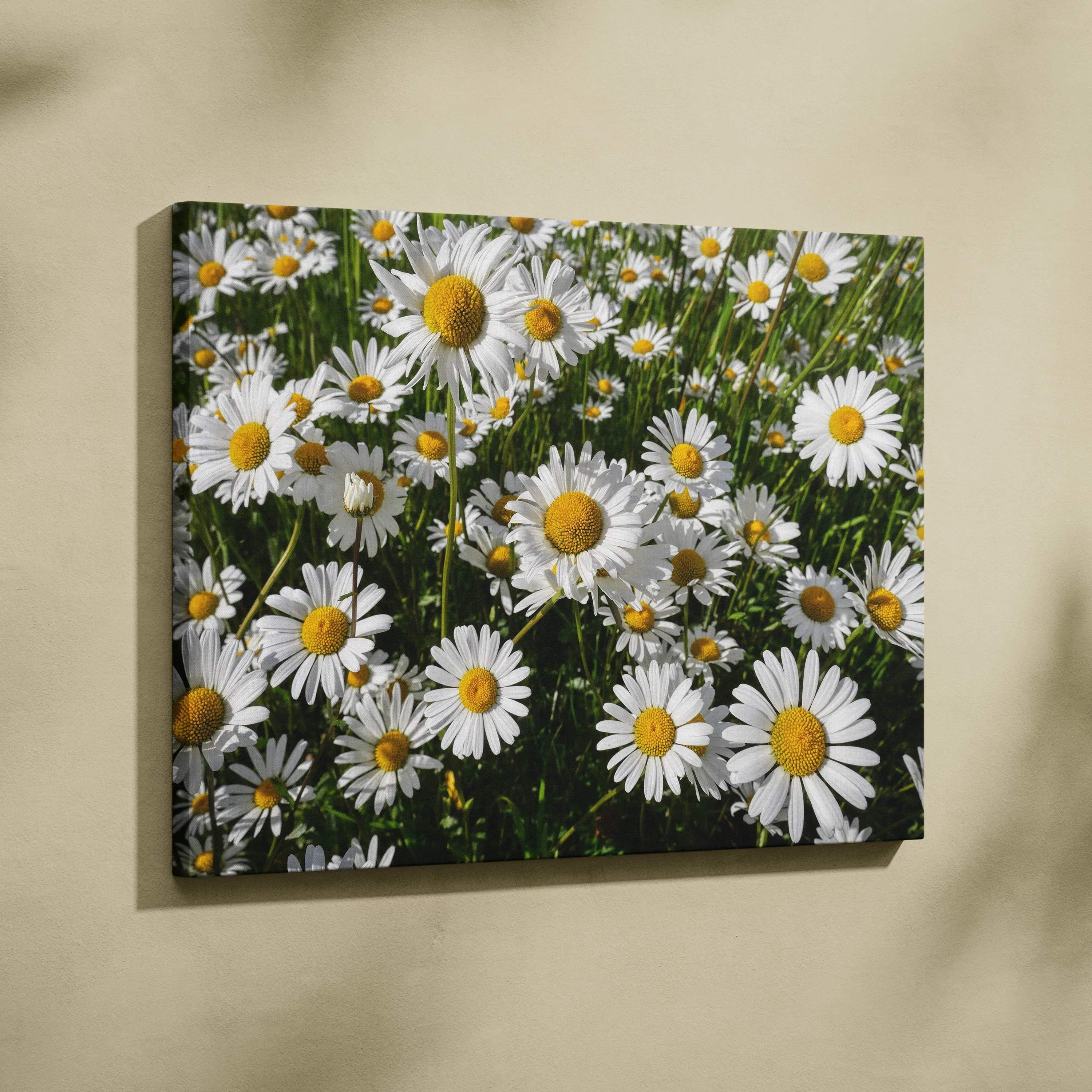 Canvas wall art featuring vibrant white daisies with yellow centers against green foliage.