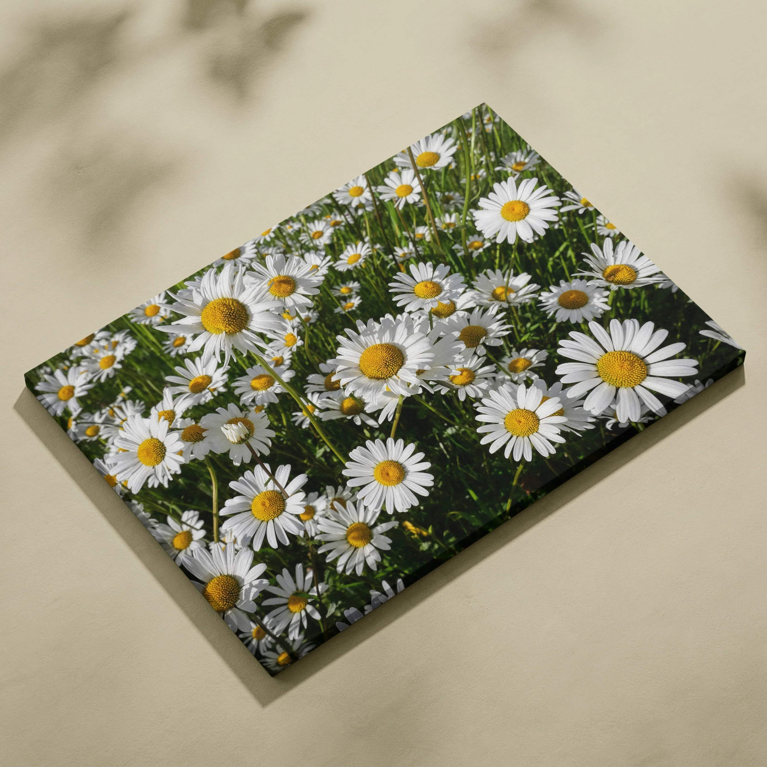 Floral canvas wall art featuring vibrant white daisies with yellow centers and green foliage.