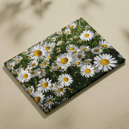 Floral canvas wall art featuring vibrant white daisies with yellow centers and green foliage.