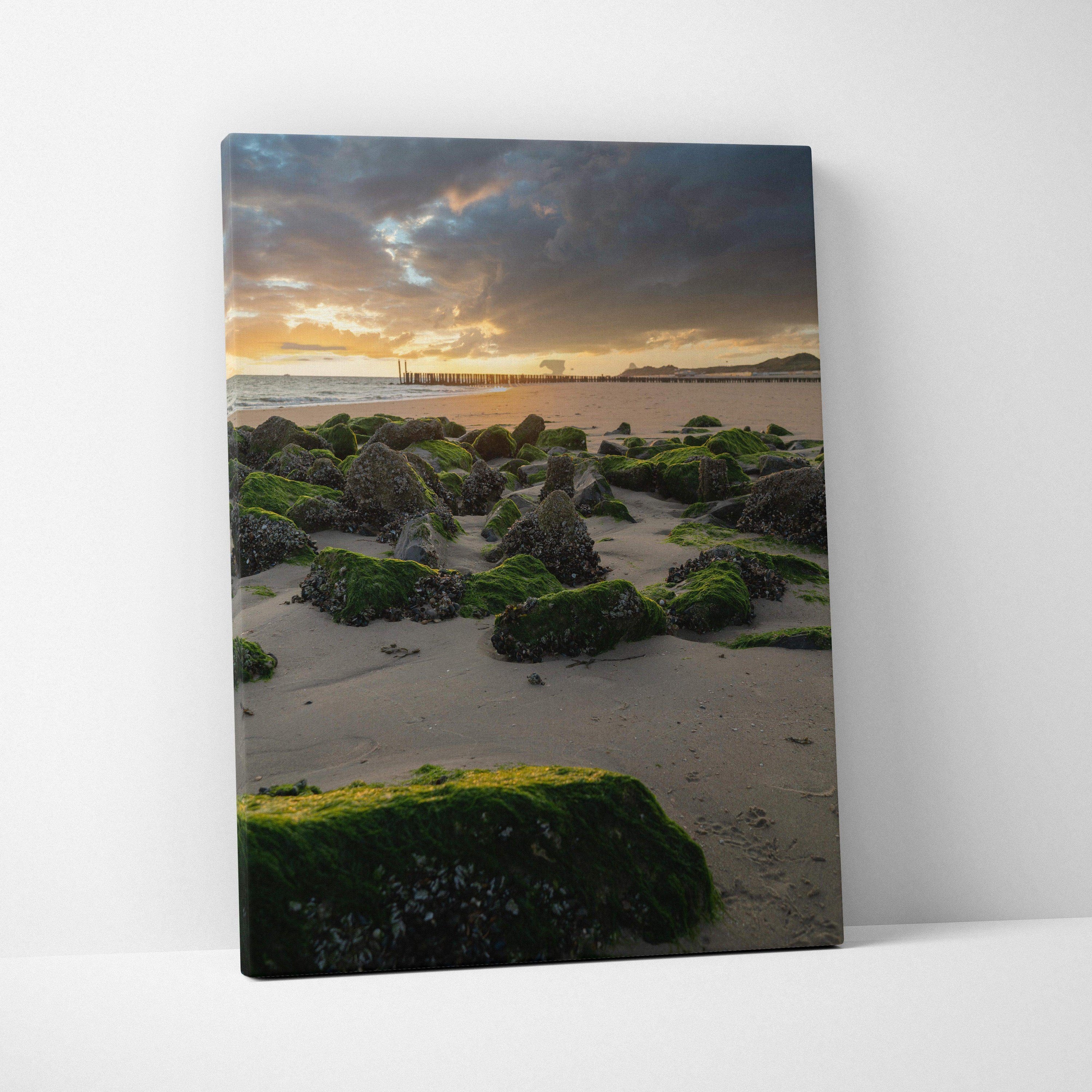 Canvas wall art featuring serene beach sunset over moss-covered rocks and sandy shore.