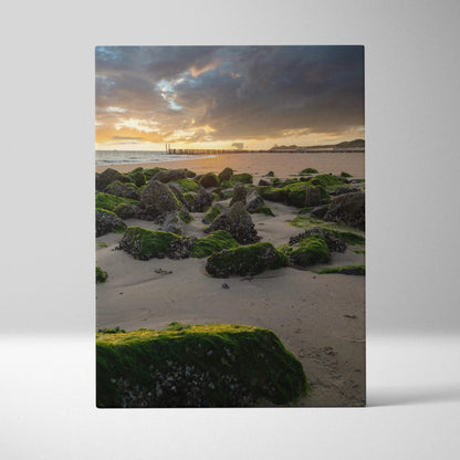 Vertical canvas wall art featuring a serene beach sunset with moss-covered rocks and dramatic clouds.