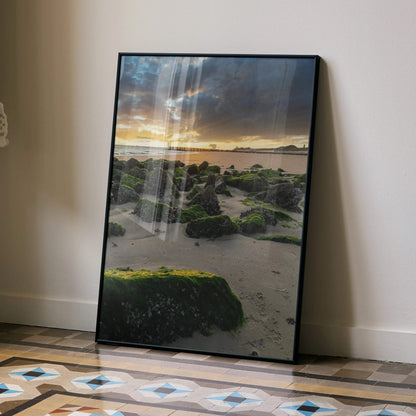 Tranquil ocean sunset wall art poster with moss-covered rocks on sandy beach in vertical frame.