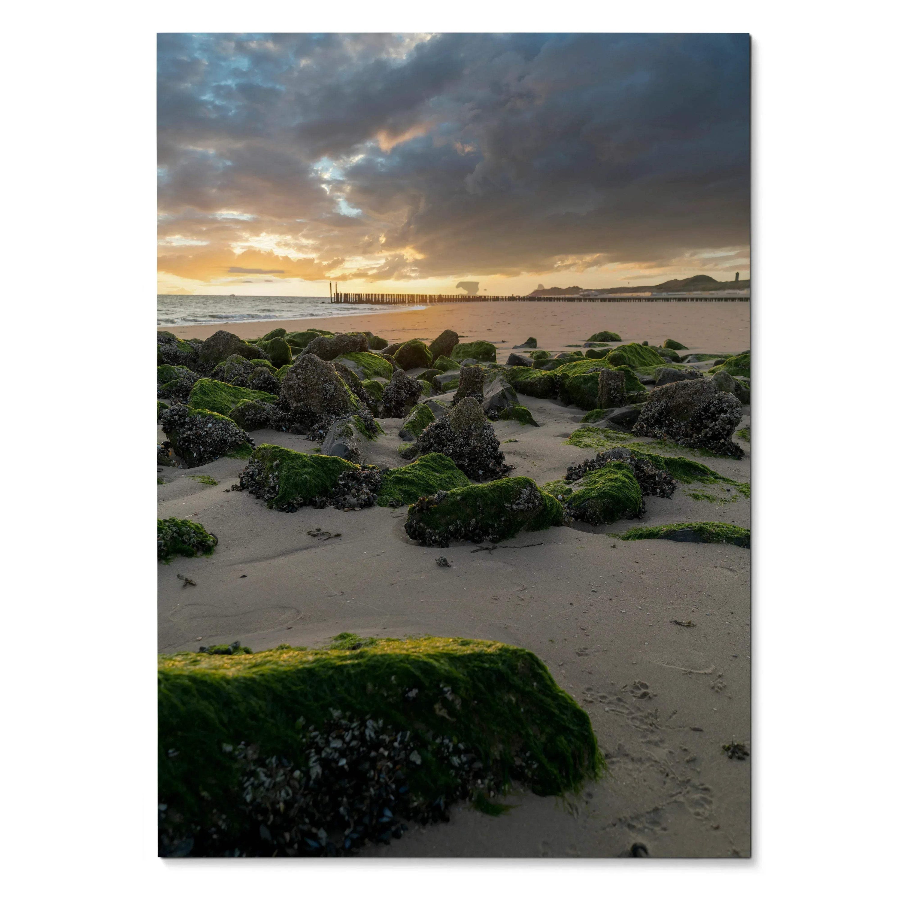Vertical poster featuring tranquil ocean sunset with moss-covered rocks and cloudy sky wall art.