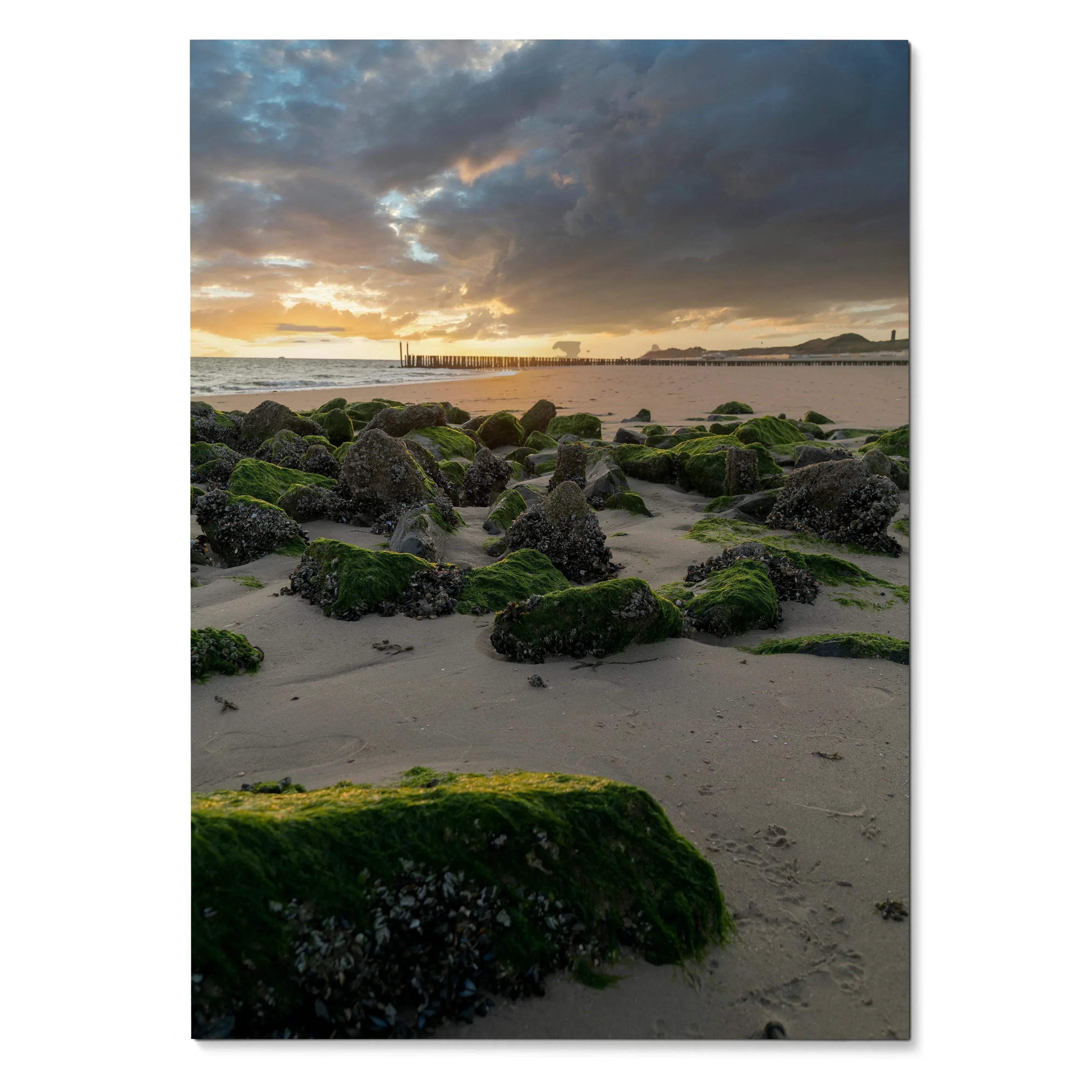 Vertical poster featuring tranquil ocean sunset with moss-covered rocks and cloudy sky wall art.