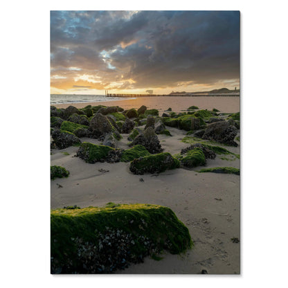 Vertical poster featuring tranquil ocean sunset with moss-covered rocks and cloudy sky wall art.