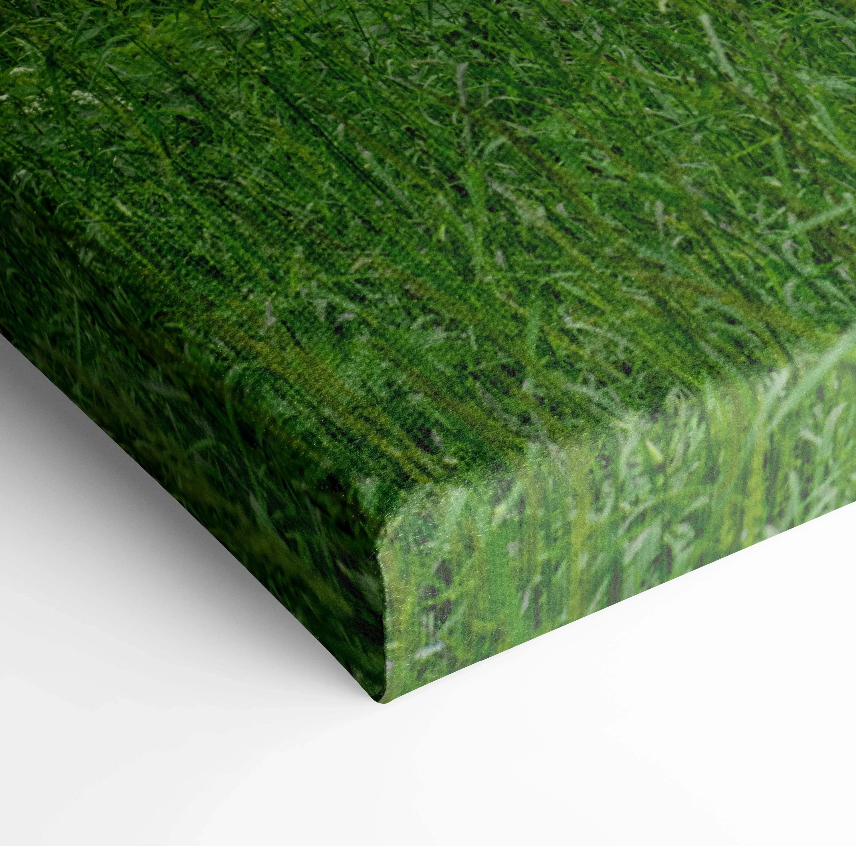 Close-up of canvas wall art showing vibrant green grass texture with museum-quality print on thick edge.