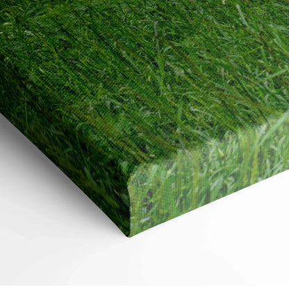 Close-up of canvas wall art showing vibrant green grass texture with museum-quality print on thick edge.