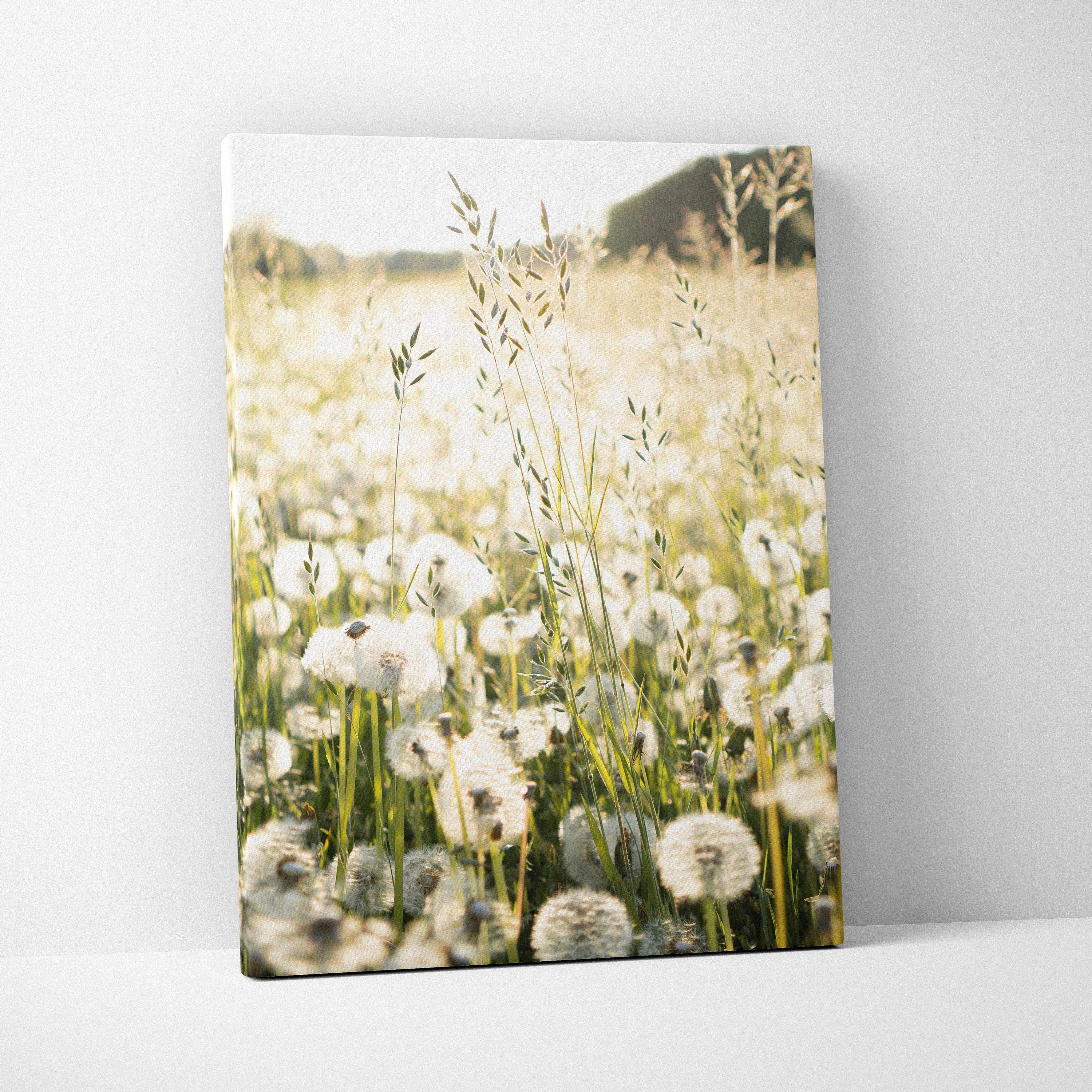 Canvas wall art featuring delicate dandelions in soft, natural tones with a blurred background.