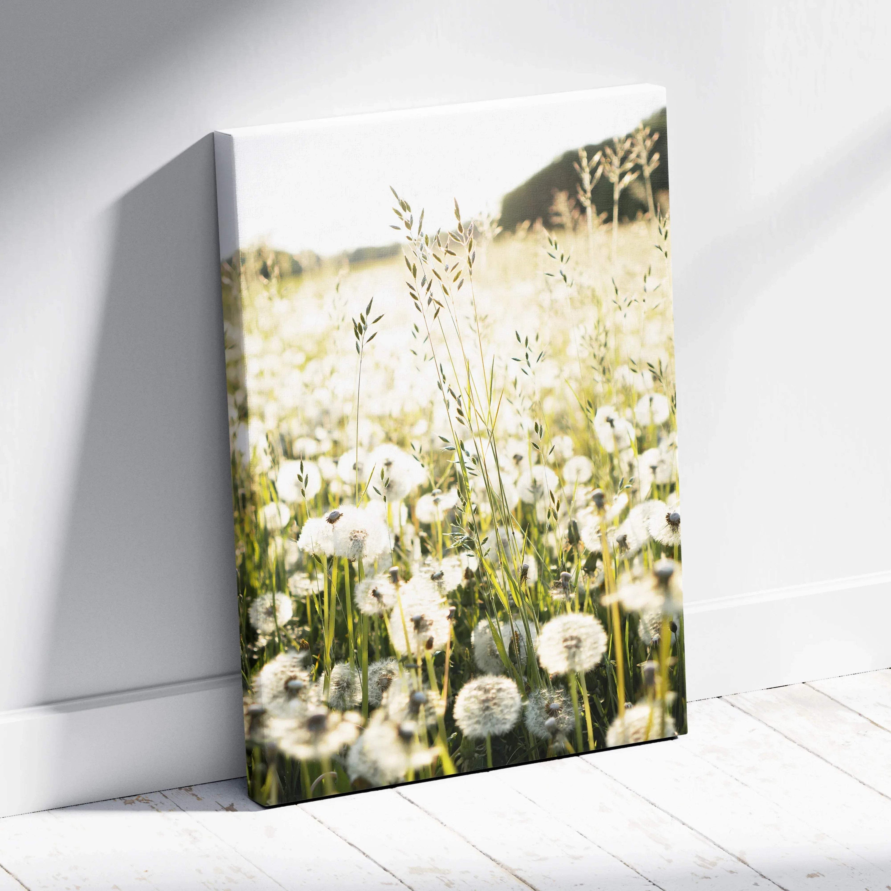 Vertical canvas wall art featuring a field of dandelions in soft, natural light.