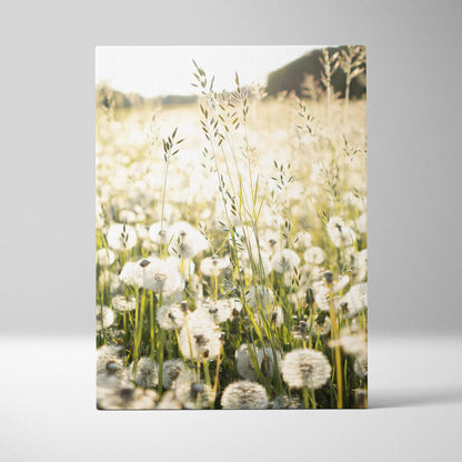 Canvas wall art featuring delicate dandelions in soft, warm sunlight with a floral field background.