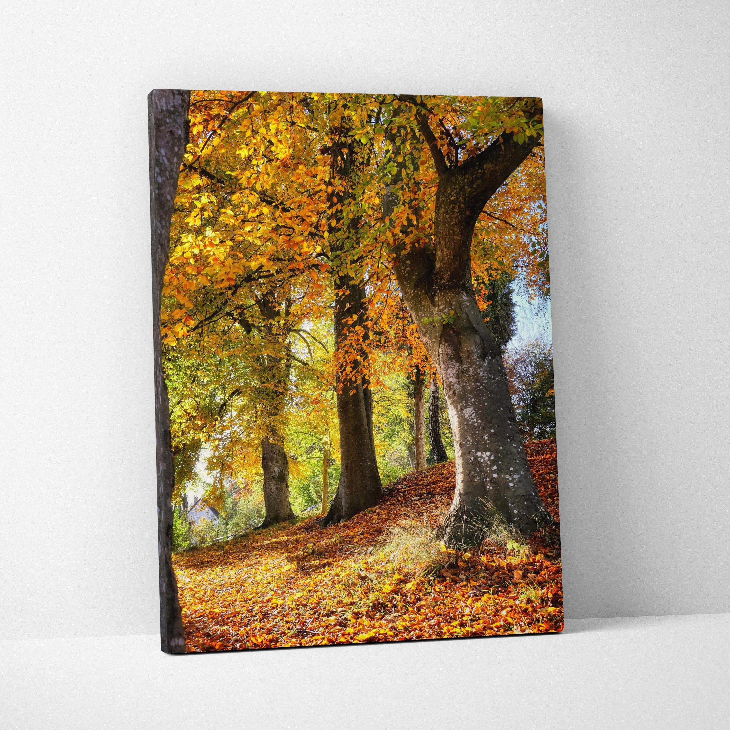 Canvas wall art featuring tall trees with vibrant golden autumn leaves and a leaf-covered forest floor.