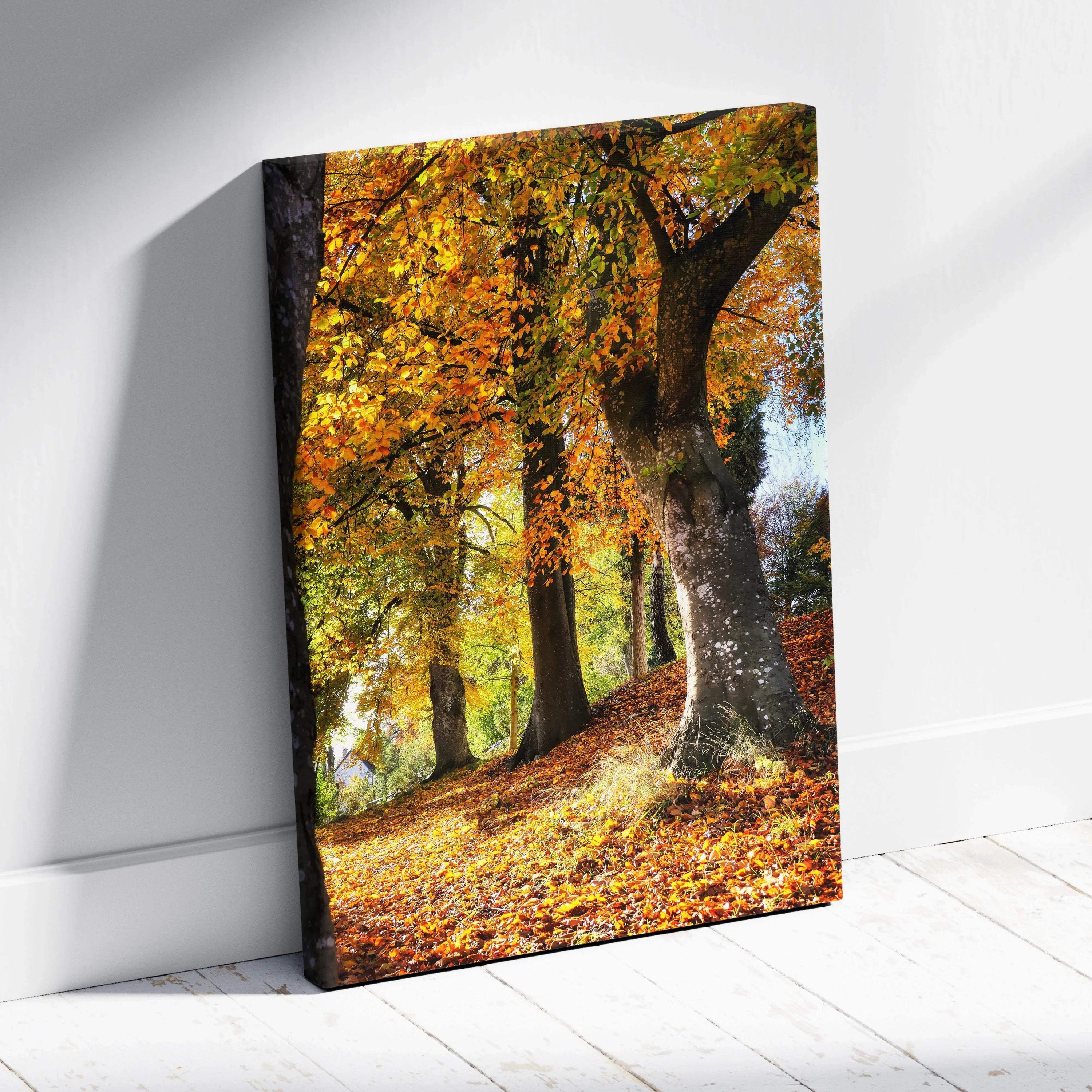 Colorful autumn forest scene with tall trees and fallen leaves canvas wall art.