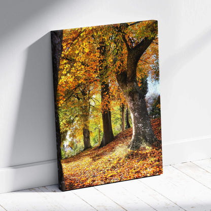 Colorful autumn forest scene with tall trees and fallen leaves canvas wall art.