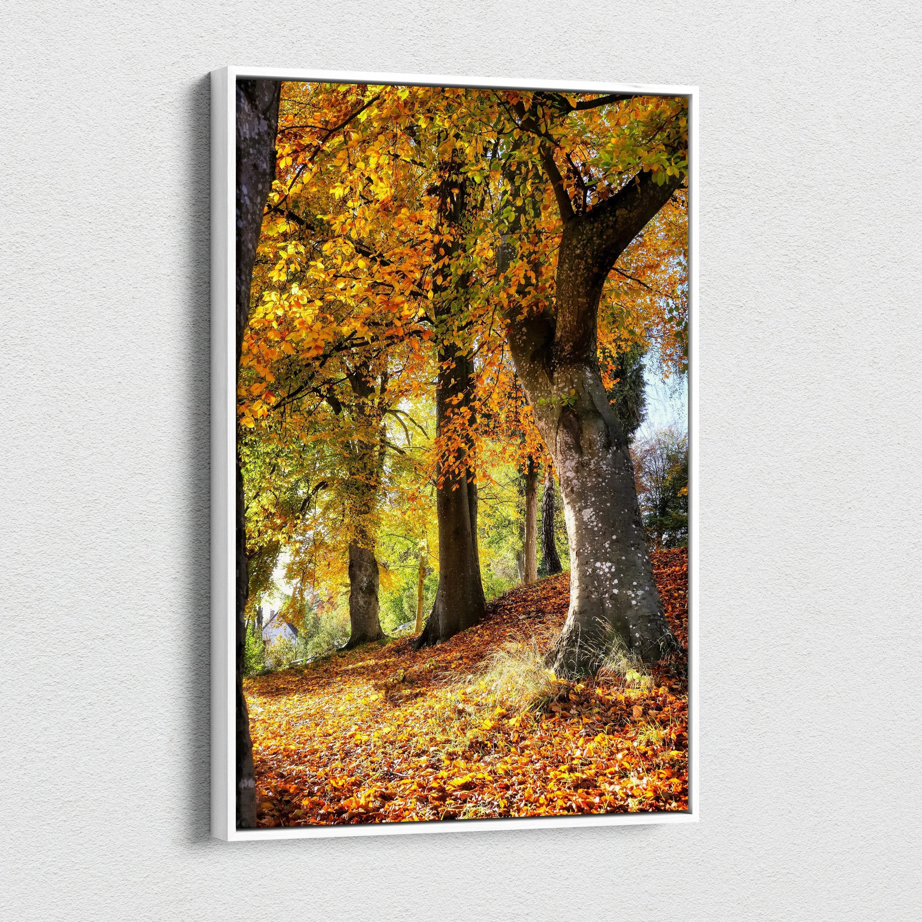 Autumn forest scene canvas wall art with vibrant orange and yellow leaves on trees and ground.