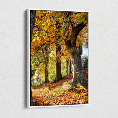 Autumn forest scene canvas wall art with vibrant orange and yellow leaves on trees and ground.