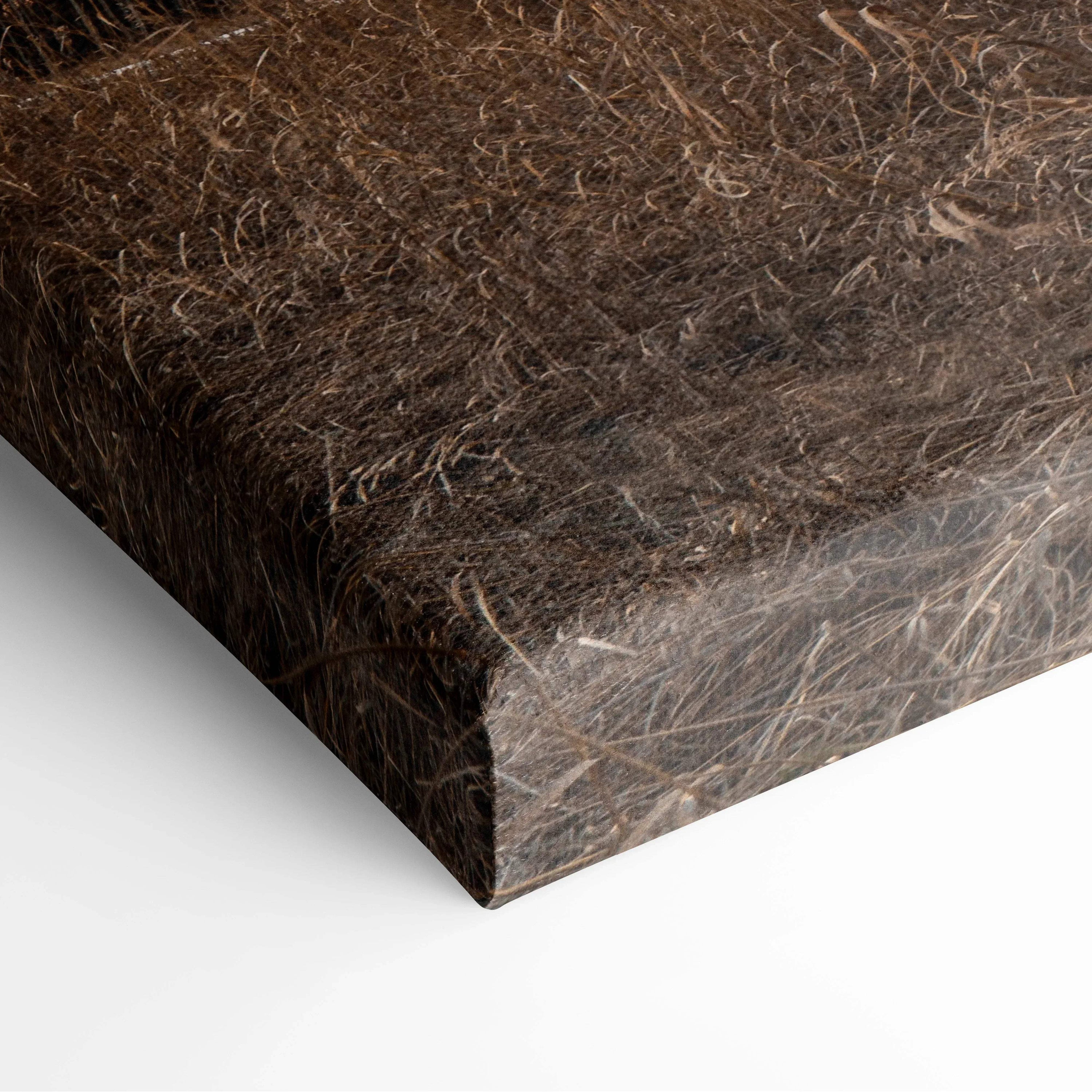 Urban architecture canvas wall art with detailed brown building textures, horizontal style.