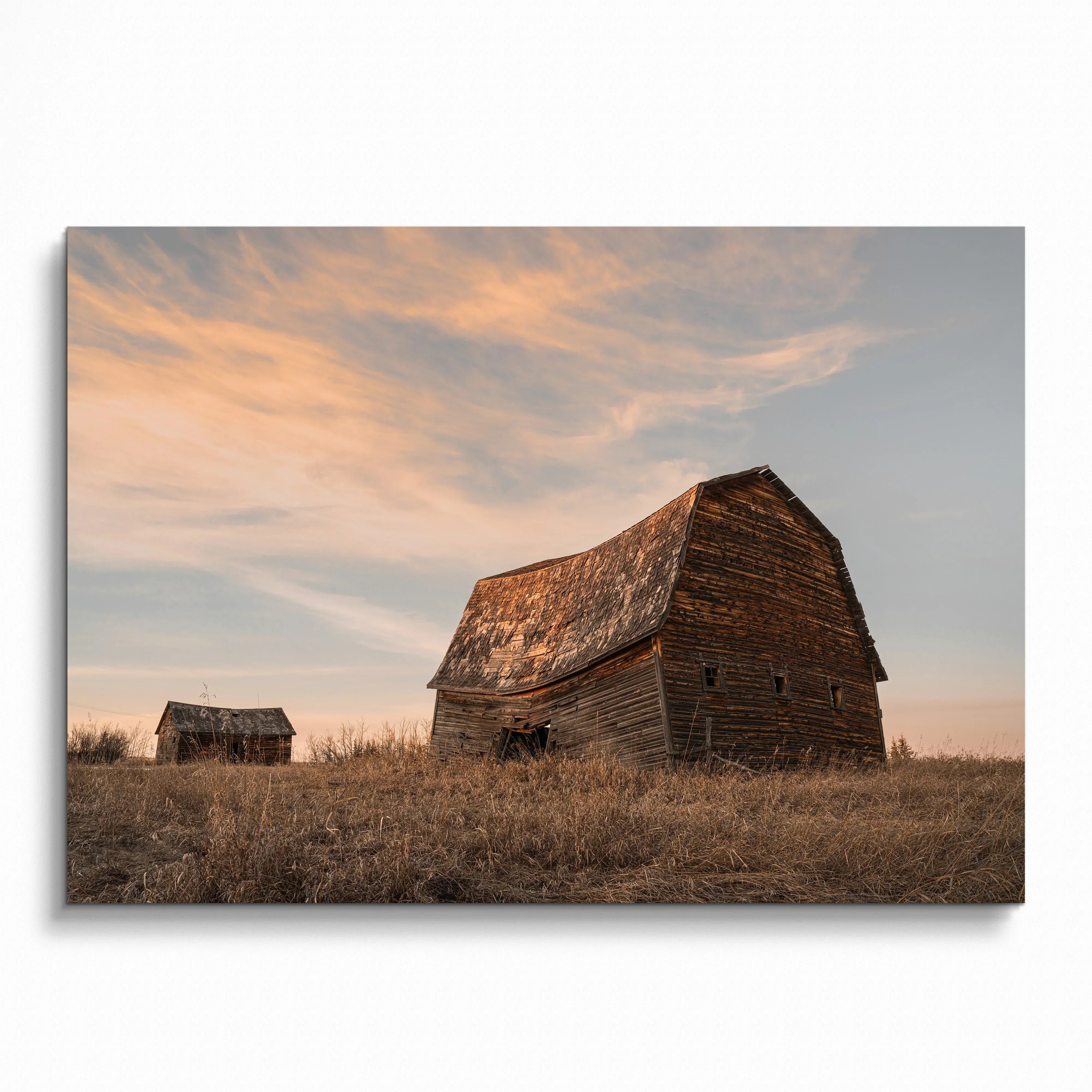 Rustic barn in golden field under soft sunset sky poster wall art print.