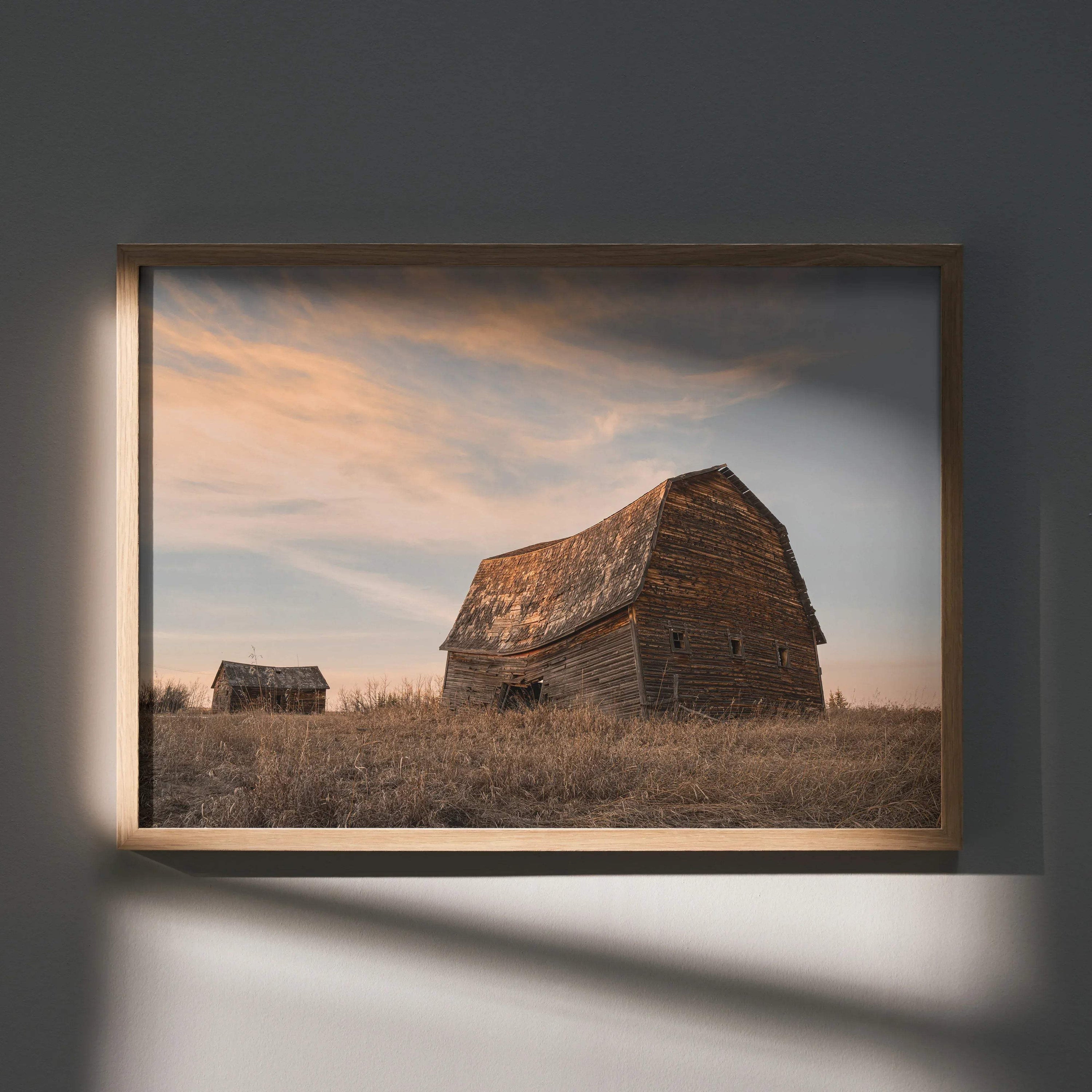 Rustic barn and small building in field at sunset wall art poster with soft orange sky.