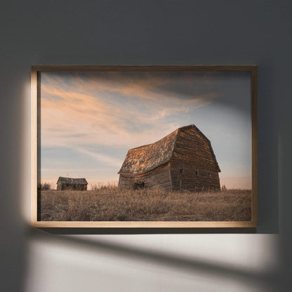 Rustic barn and small building in field at sunset wall art poster with soft orange sky.