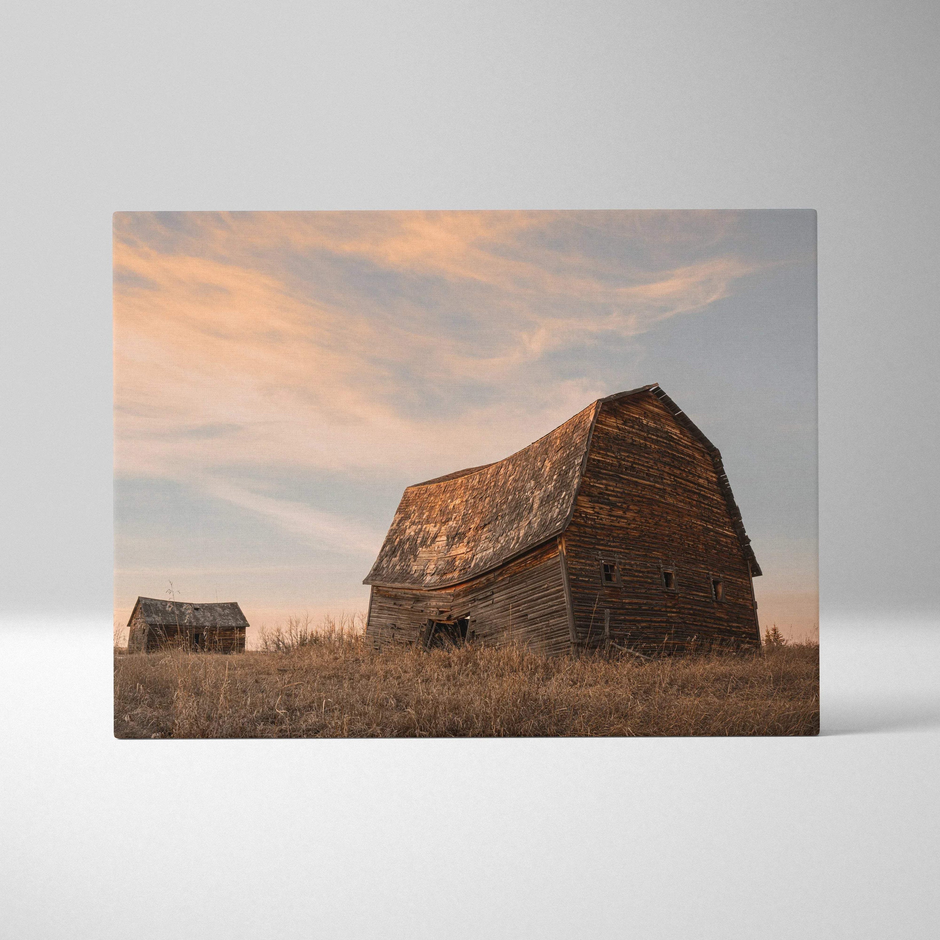 Rustic wooden barn in golden field under soft sunset sky canvas wall art print.