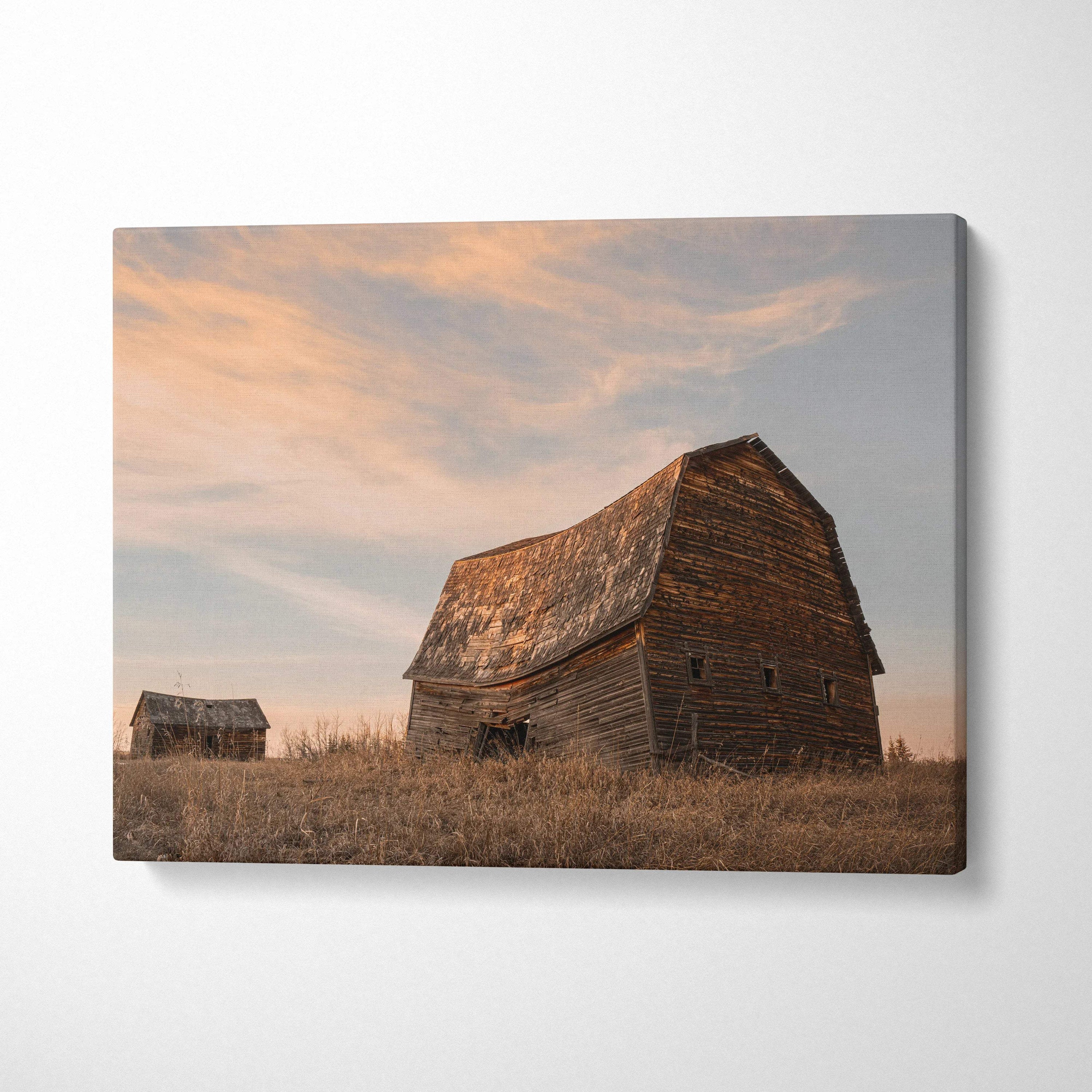 Rustic barn buildings in field at sunset canvas wall art print with soft pastel sky.