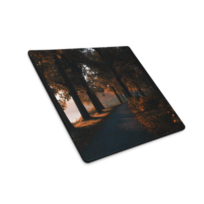 Square autumn forest path coaster with golden leaves and non-slip backing