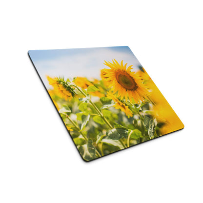 Vibrant sunflower field square mousepad with non-slip backing