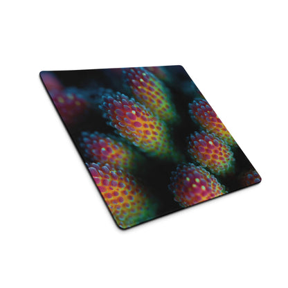 Vibrant coral reef themed large gaming mouse pad with glossy finish