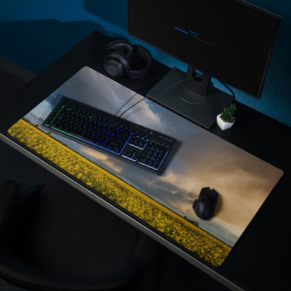 Stormy Canola Field Desk Pad - Landscape Canola Field Yellow Blue Gaming Desk Photo Print - Dramatic Mood Wall Art Photo