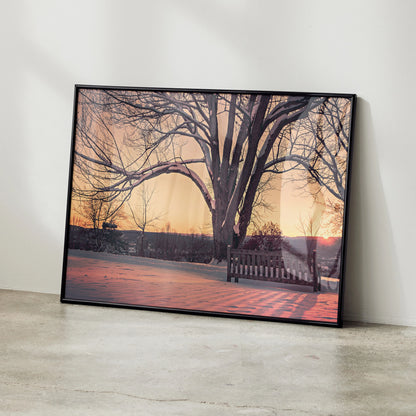 Serene snowy landscape poster featuring bare tree branches and a soft sunset glow, wall art with tranquil nature scene.