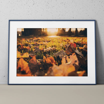Vibrant autumn leaves close-up poster with warm sunlight nature wall art in white frame.