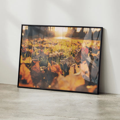 Vibrant autumn leaves nature art poster with warm sunlight and black frame leaning on white wall.