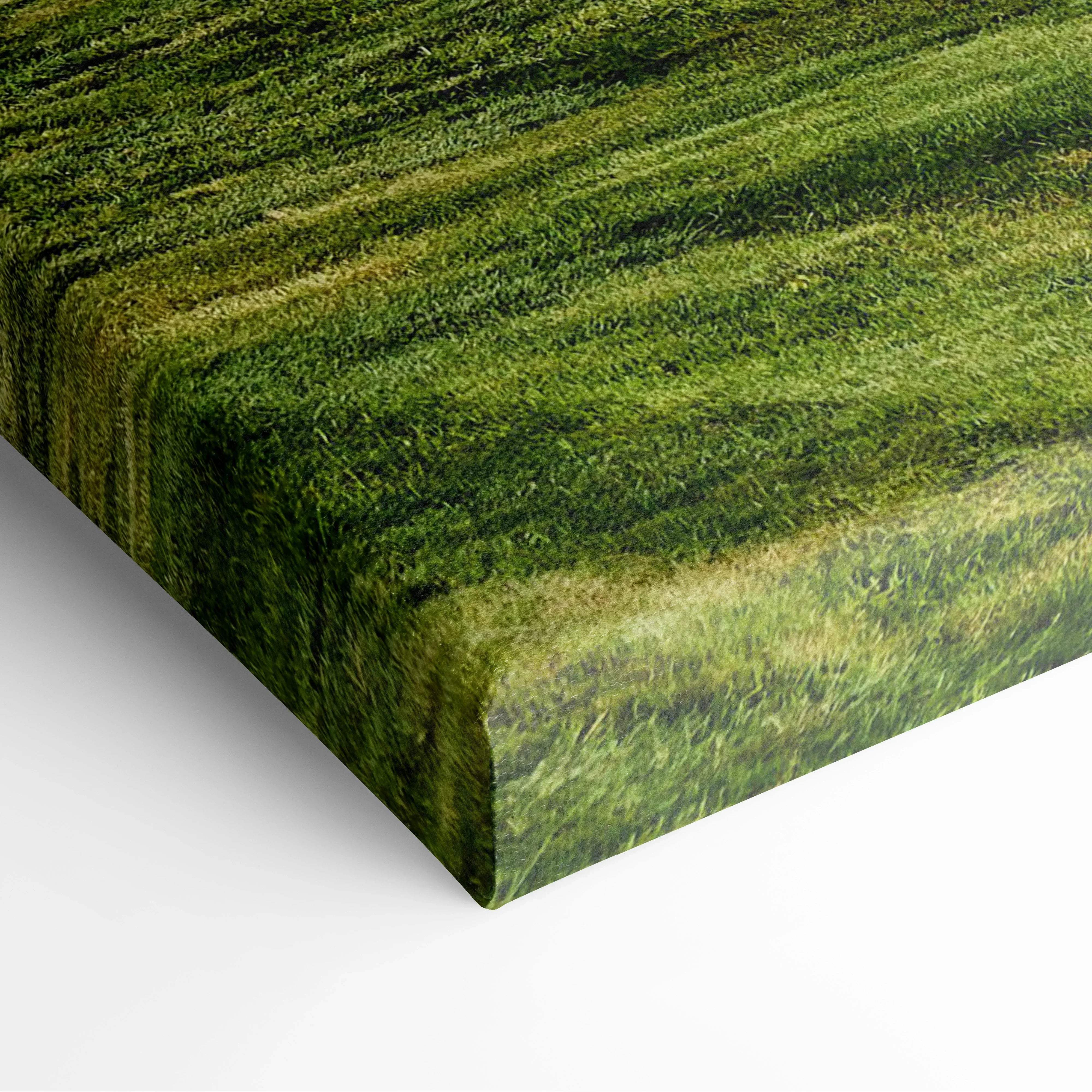 Canvas print featuring a detailed textured depiction of lush green grass in serene pastoral landscape with cozy cottage
