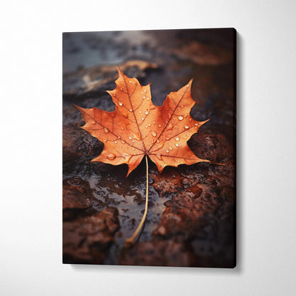 Canvas wall art featuring vibrant orange autumn maple leaf with water droplets on dark textured ground.