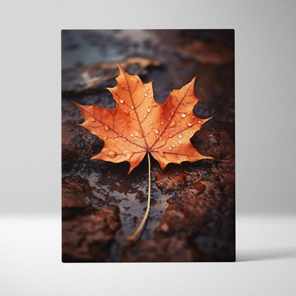 Canvas wall art featuring a vibrant orange autumn leaf with water droplets on a dark textured background.