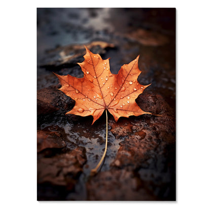 Vertical poster wall art featuring a vibrant orange autumn leaf with water droplets on dark, wet ground.