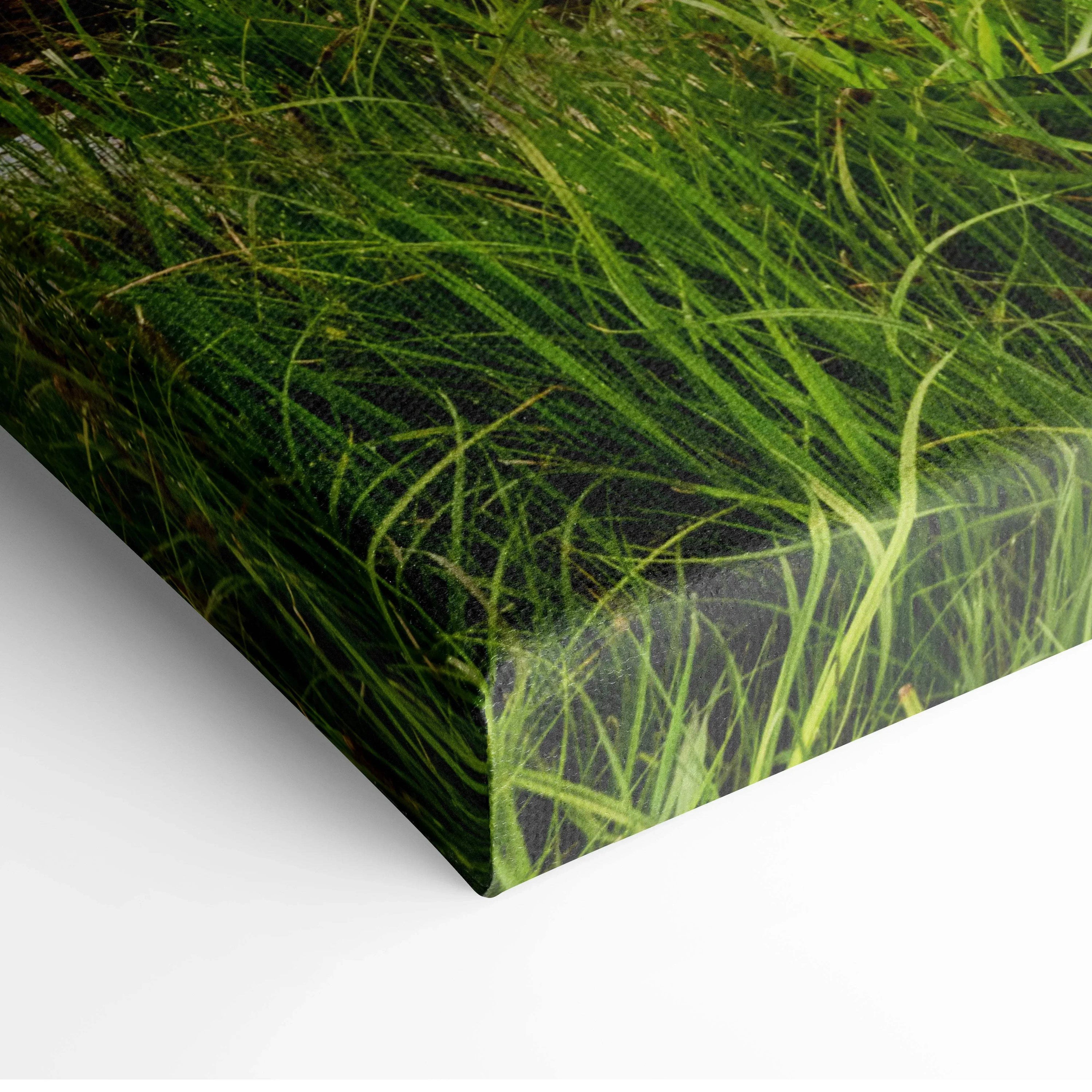 Close-up of canvas wall art print featuring detailed green mountain grass in nature-themed artwork.