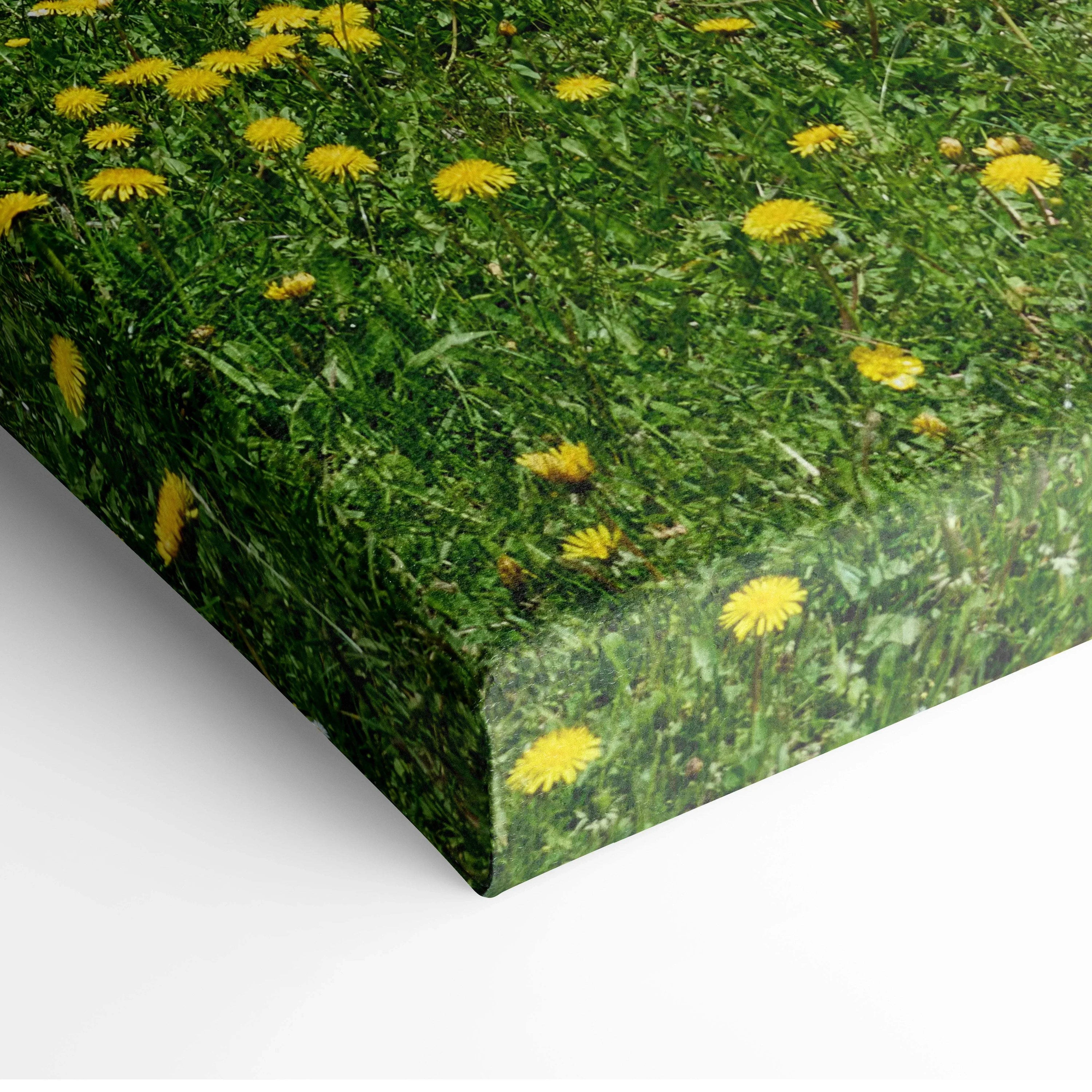 Canvas wall art featuring vibrant green grass with scattered yellow dandelion flowers.