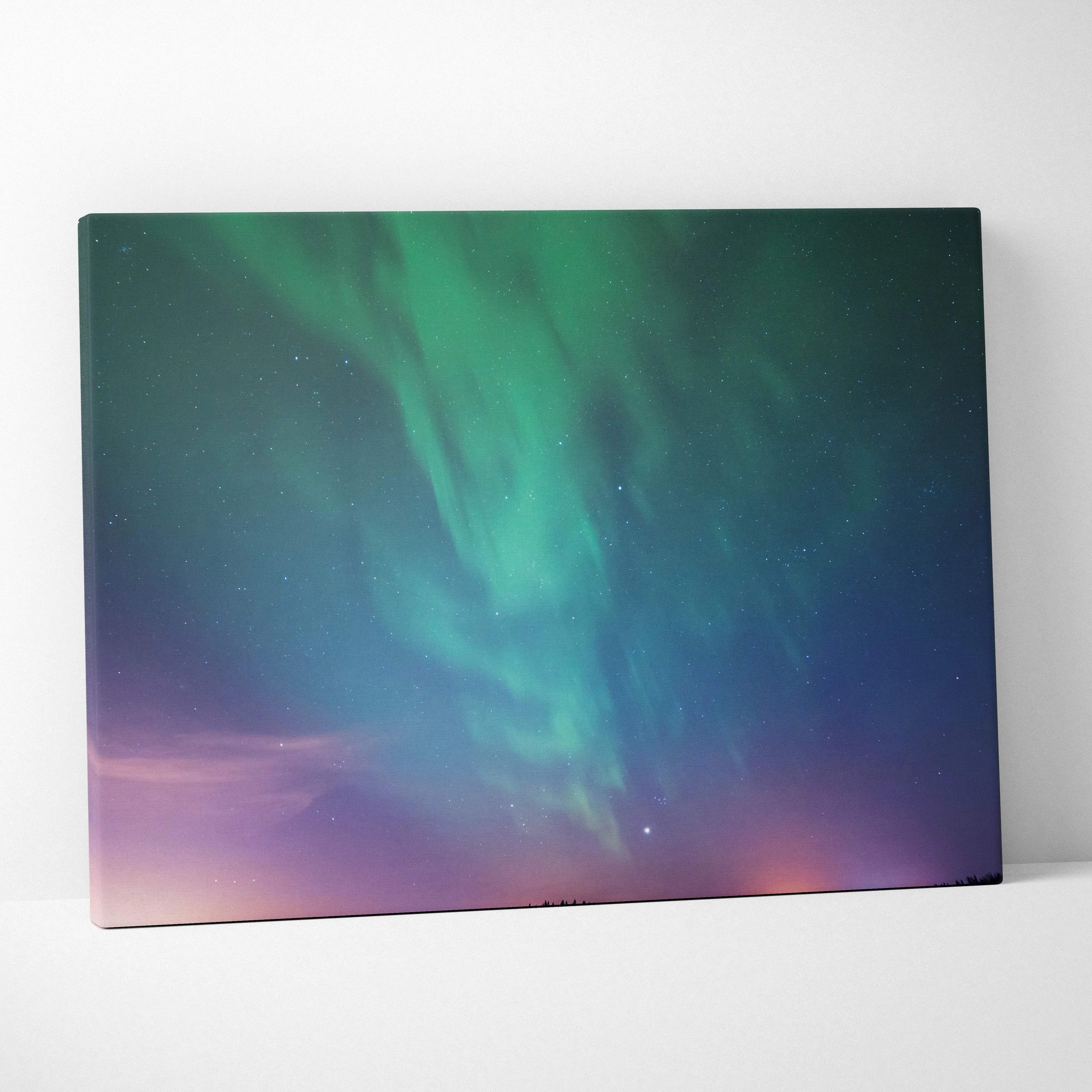 Northern lights over calm lake and forest silhouette canvas print