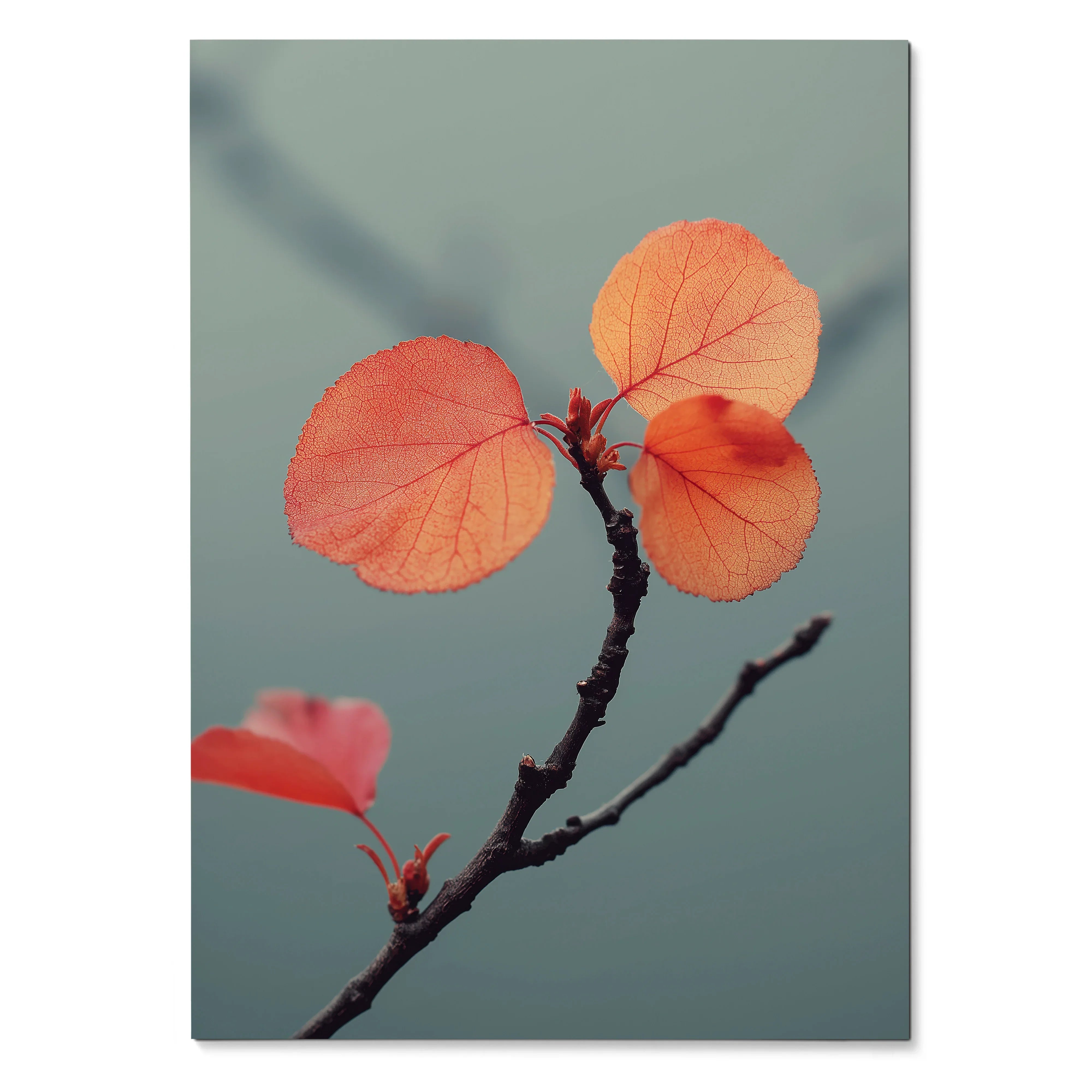 Vertical poster of vibrant orange autumn leaves on dark branch against soft blue-gray background wall art.