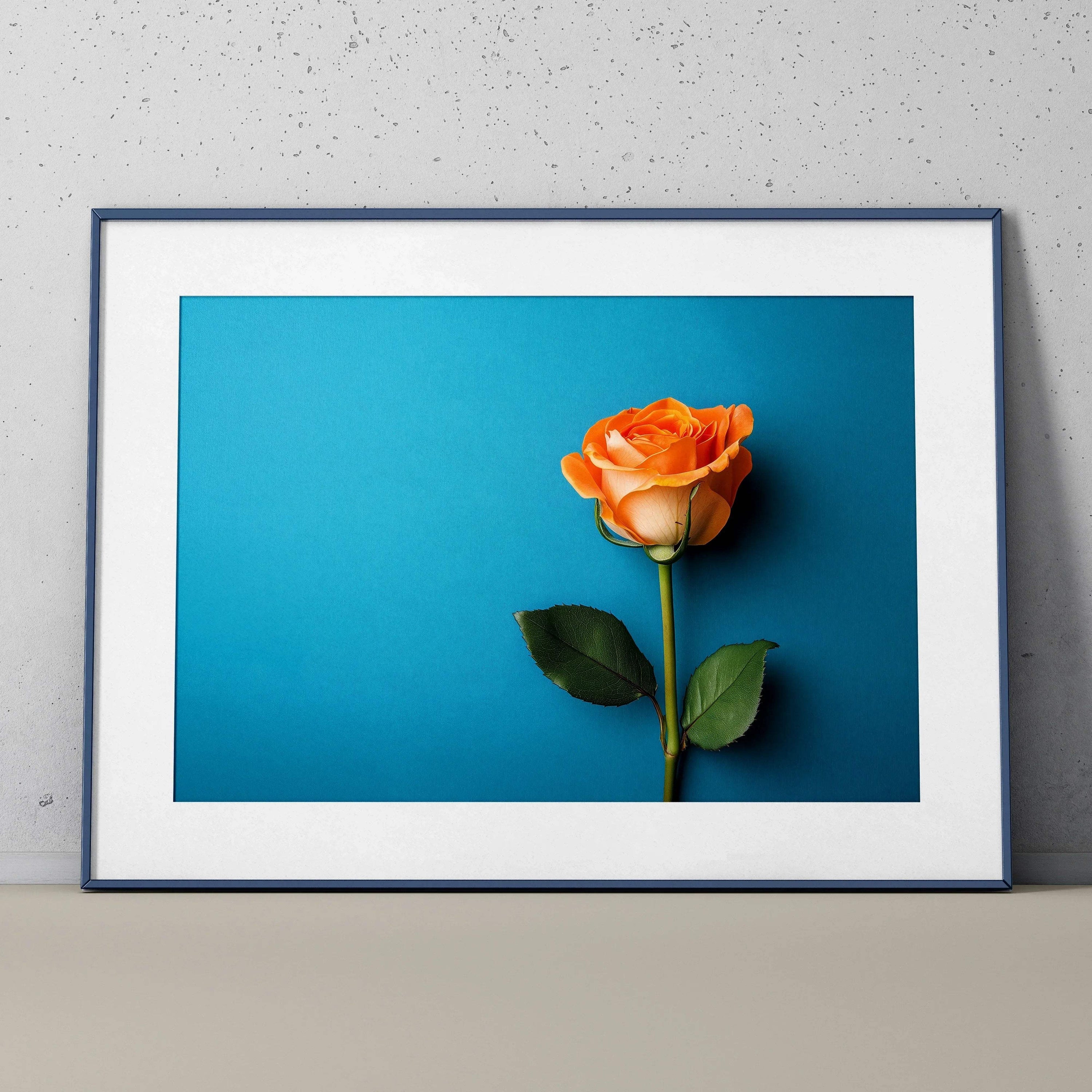 Framed vibrant orange rose floral poster on blue background wall art.