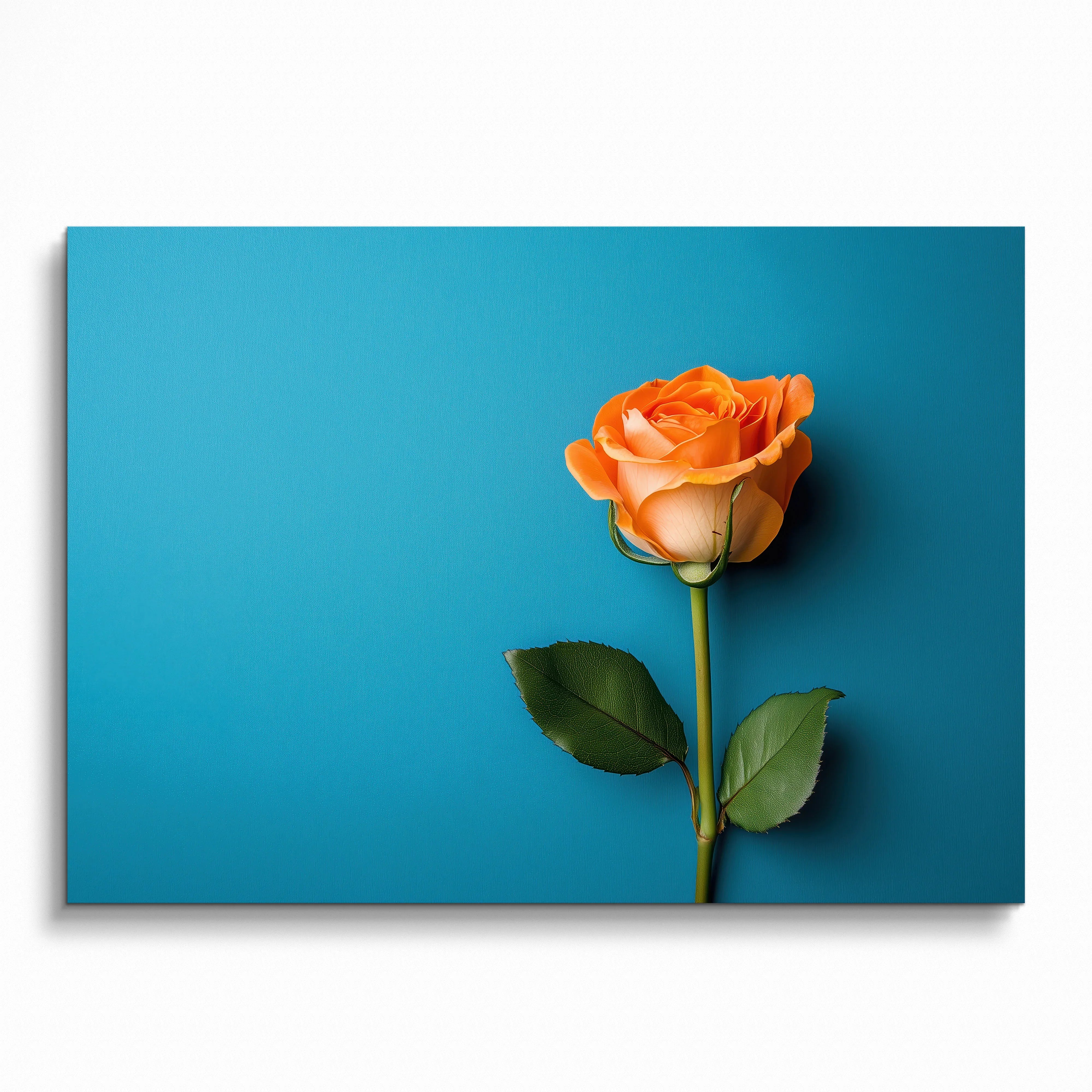 Vibrant floral poster featuring a single orange rose on a bold blue background wall art.
