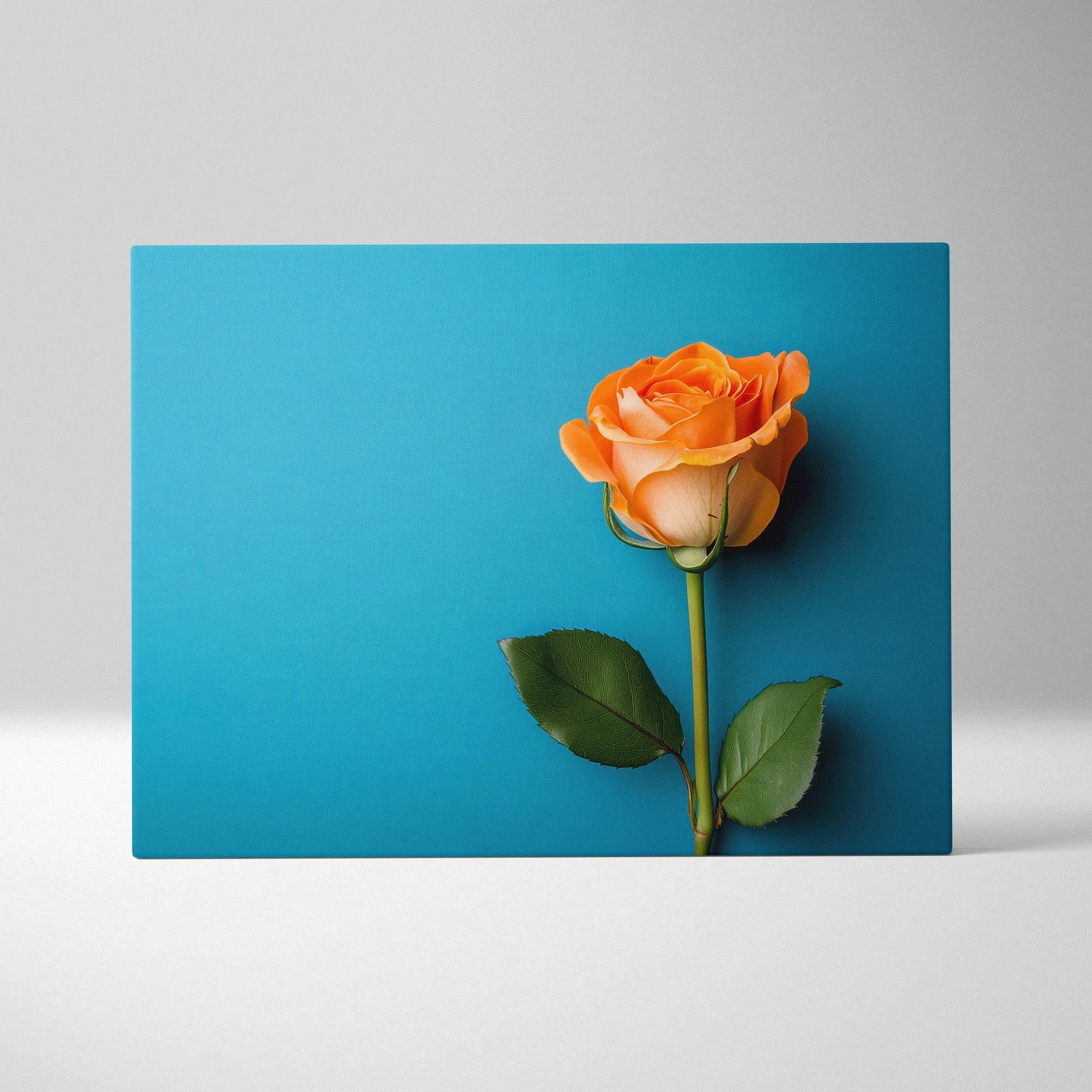 Orange rose flower on vibrant blue background canvas wall art print.
