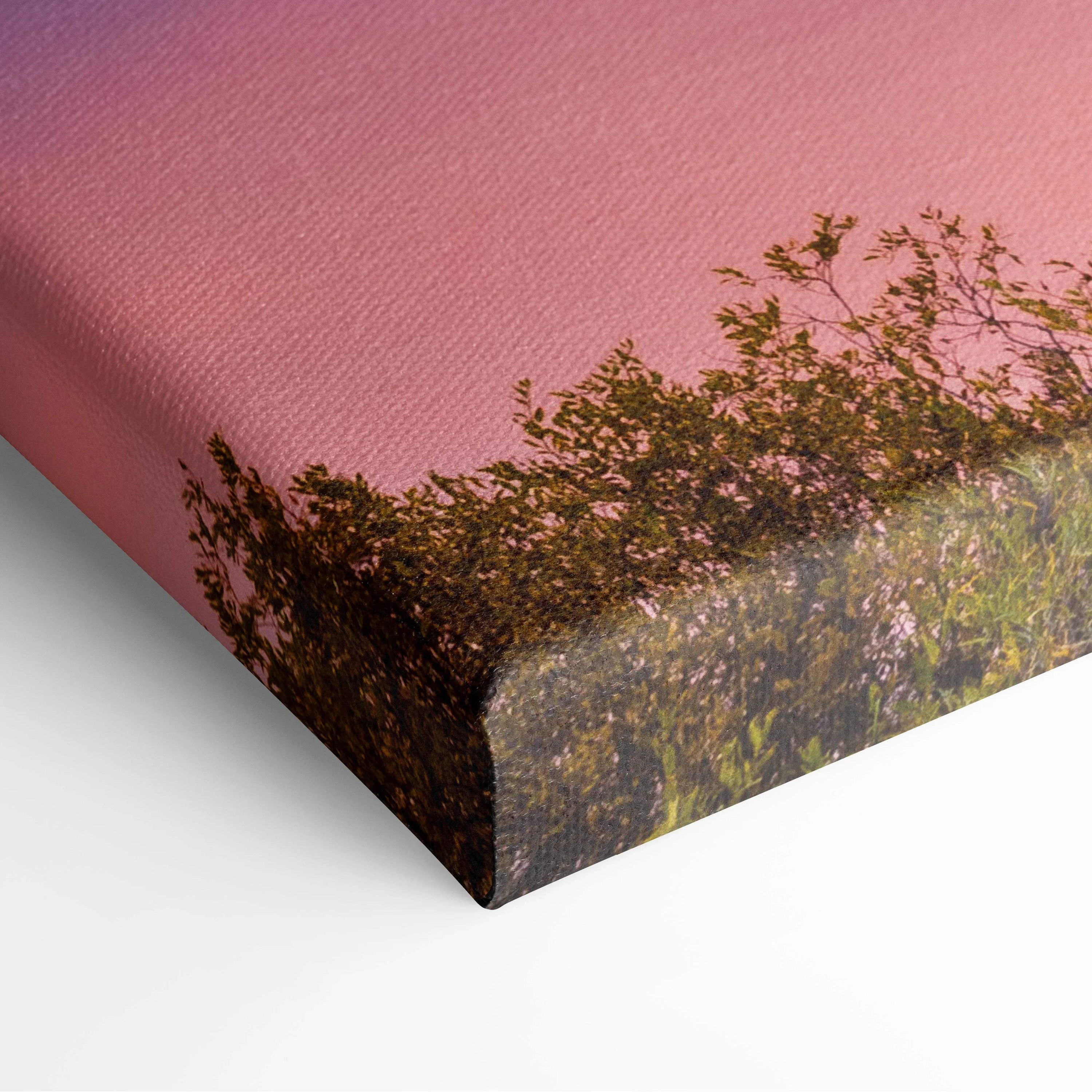 Canvas wall art print featuring silhouette of trees against a pink sunset sky.