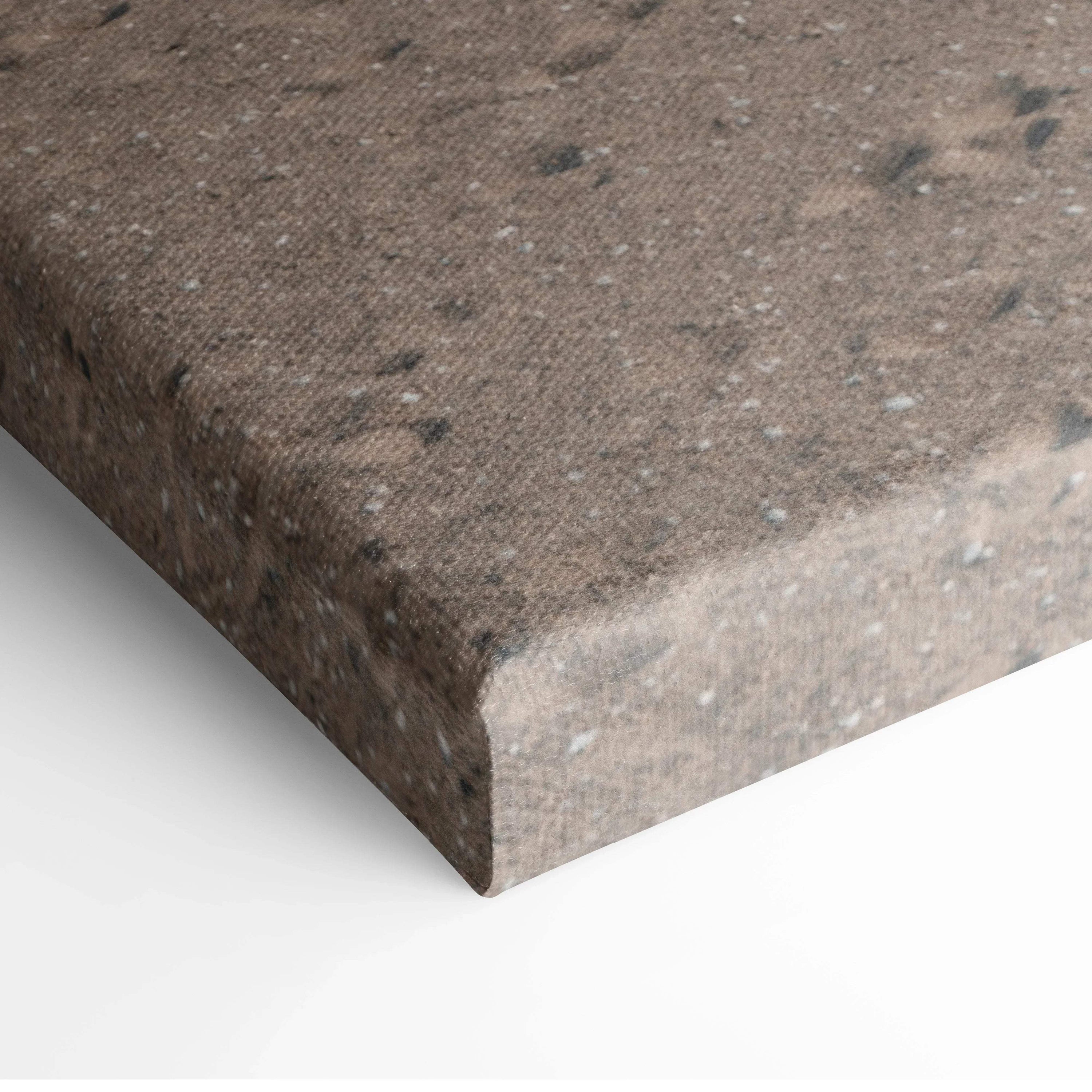 Close-up of textured brown canvas wall art corner with speckled, weathered appearance.