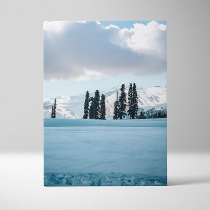 Snowy mountain landscape with tall pine trees under cloudy sky canvas wall art.