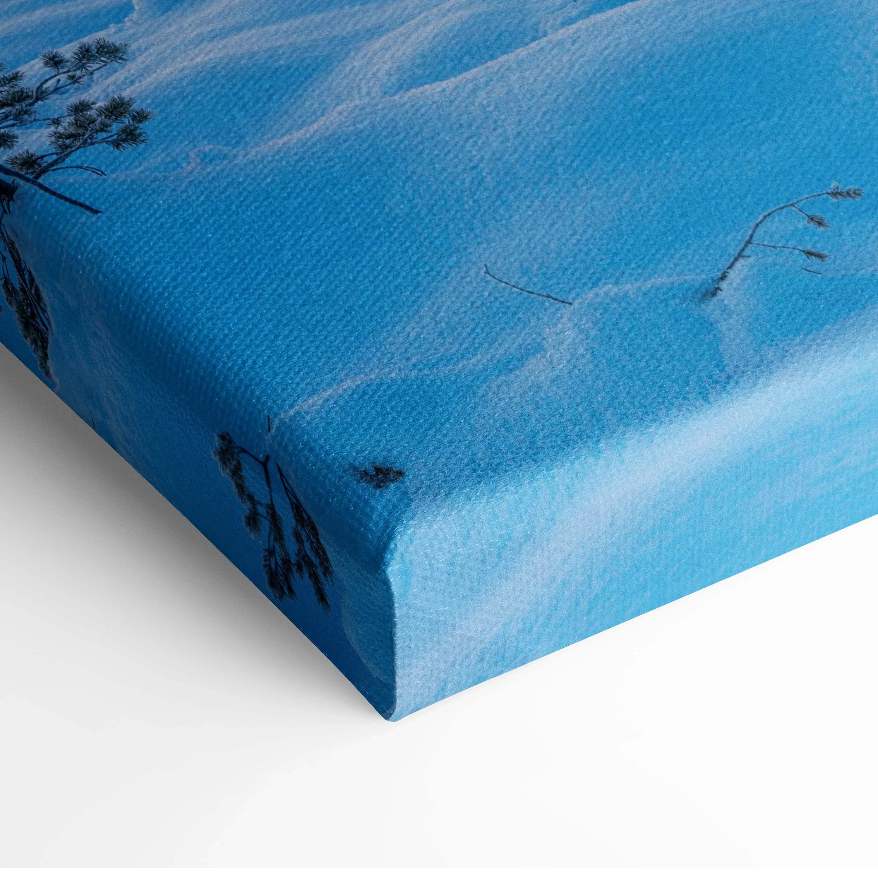 Blue snowy landscape close-up on textured canvas wall art with delicate plant silhouettes and shadows.