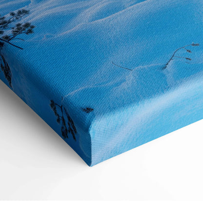 Blue snowy landscape close-up on textured canvas wall art with delicate plant silhouettes and shadows.