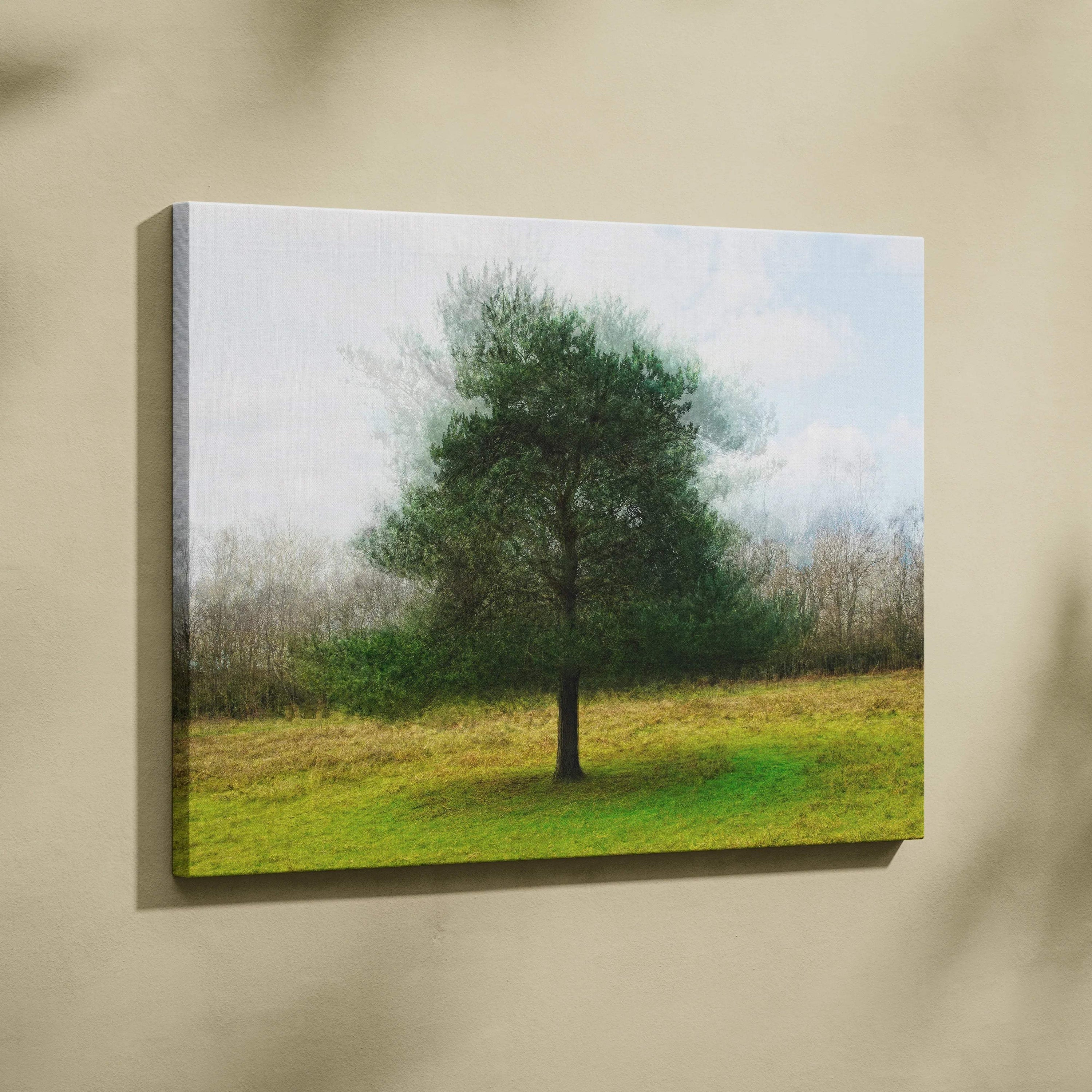 Solitary green tree in grassy field dreamy painterly canvas wall art
