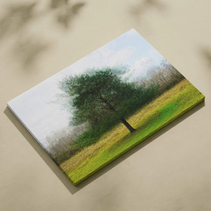 Solitary tree in lush green field, dreamy painterly canvas art